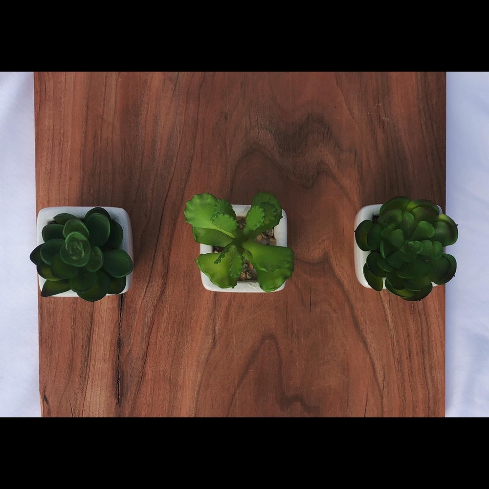 Fake succulent decoration
